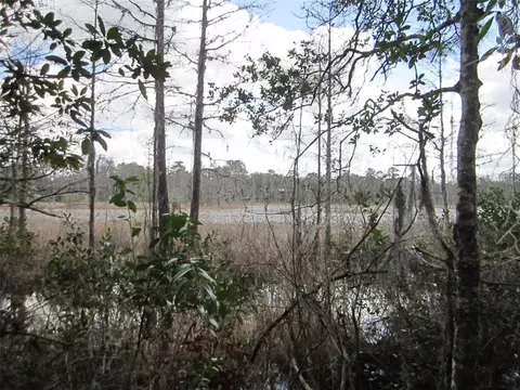 114 Th Ave NE, Fort Mc Coy, FL 32134