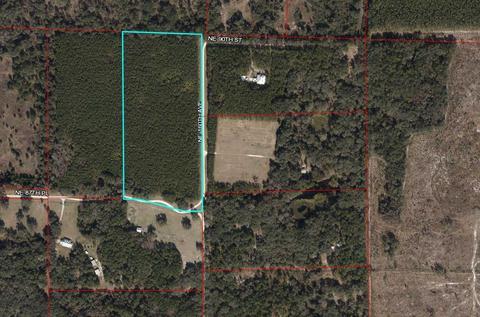 00 NE 160th Ave, Williston, FL 32696 photo 1