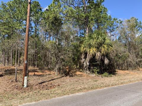 5902 S Pine Tree Pt, Lecanto, FL 34461 photo 1
