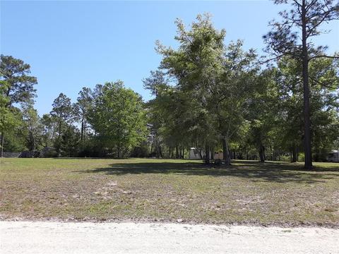 4891 NE 141st Ter, Williston, FL 32696 photo 1