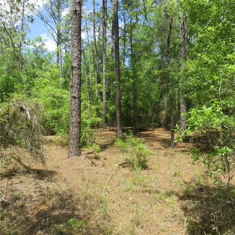 00 SW 25th Pl #LOT 28, Ocala, FL 34481