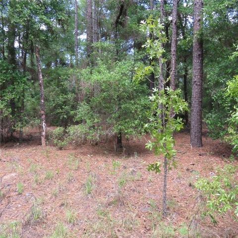 00 SW 25th Pl #LOT 29, Ocala, FL 34481