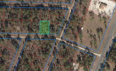 Tbd NE 11th Place, Williston, FL 32696