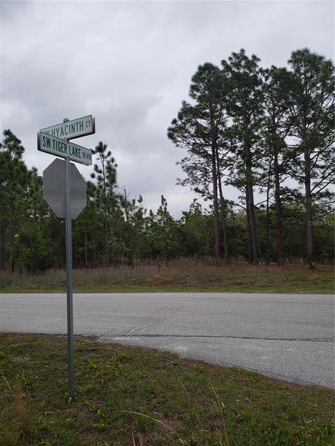 0 SW Hyacinth Ct, Dunnellon, FL 34431