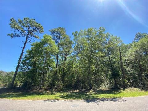 8490 NE 178th Ter, Williston, FL 32696 photo 1