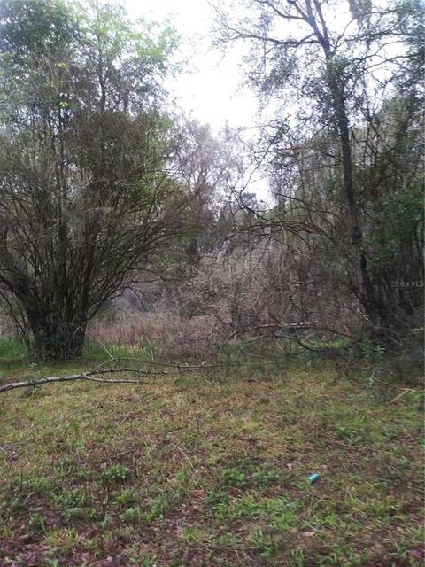 15280 NW 46th Ave, Reddick, FL 32686 photo 1