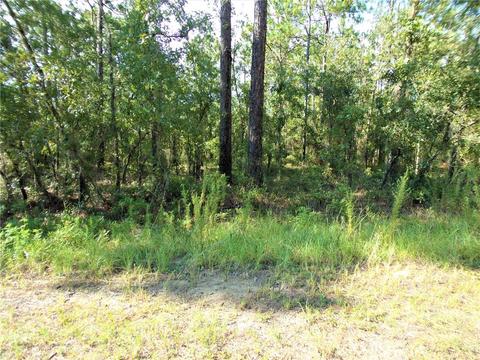 SW 96th Lane, Dunnellon, FL 34432