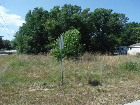 Tbd SE 161st Street, Summerfield, FL 34491