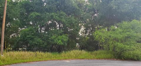 14 Spring Loop Drive, Ocala, FL 34472 photo 1