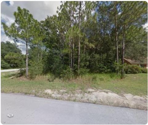 1 Cedar Tree Ter, Ocala, FL 34472 photo 1