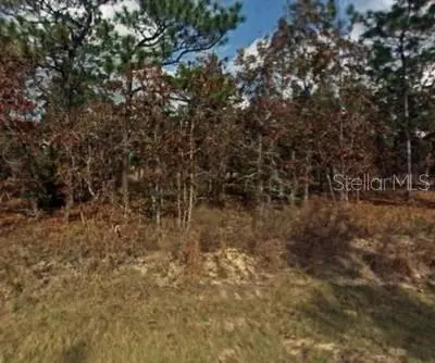 NW Falcon Avenue, Dunnellon, FL 34431