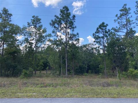 Tbd Beaver Drive, Dunnellon, FL 34431