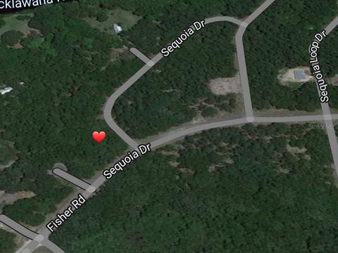 Tbd SE 100th Place, Ocklawaha, FL 32179
