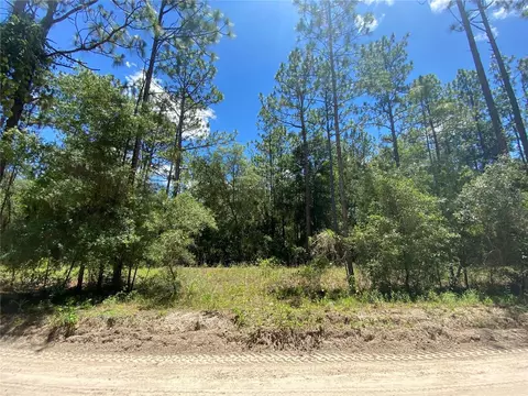 4331 NE 127th Ct, Williston, FL 32696