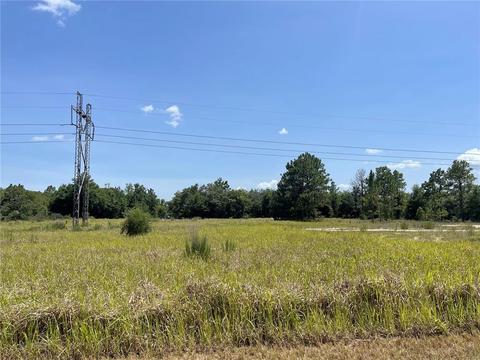 Tbd Se 113th Street Rd, Ocklawaha, FL 32179