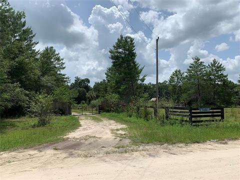 6750 NE 137th Ct, Williston, FL 32696 photo 1