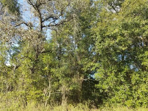 520 NE 148th Ter, Williston, FL 32696