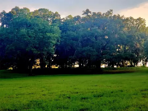 1077 SW 144th Court Rd, Ocala, FL 34481