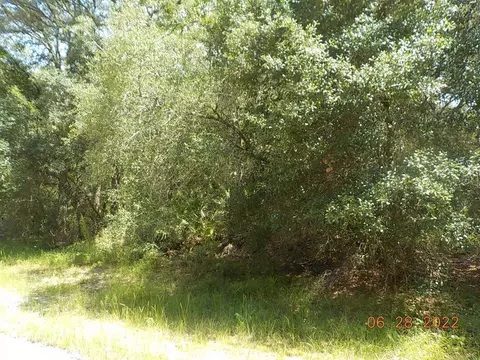 Tbd SW 147 Loop, Ocala, FL 34473