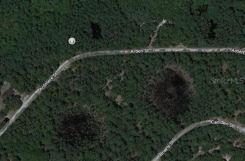 116 Arden St, Georgetown, FL 32139 photo 1