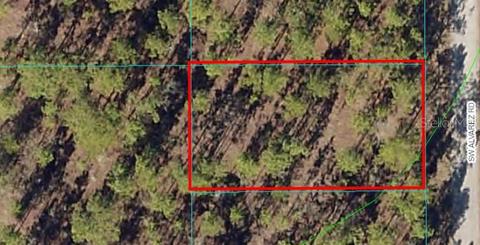 Lot 12 SW Alvarez Road, Dunnellon, FL 34431