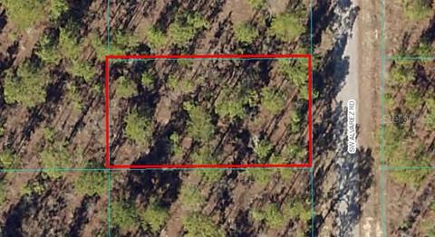 Lot 13 SW Alvarez Road, Dunnellon, FL 34431