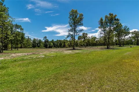 000 NW 142nd St, Williston, FL 32696