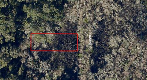 17 Southwest 65th Avenue, Summerfield, FL 34491