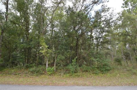 34430 Columbine Avenue, Dunnellon, FL 34430
