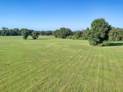 4199 E Highway 316, Citra, FL 32113