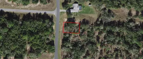 1687 W G Martinelli Blvd, Citrus Springs, FL 34434