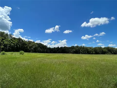 5500 SE 24th St, Ocala, FL 34480 photo 4