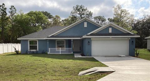 241 Locust Pass Ln, Ocala, FL 34472 photo 1