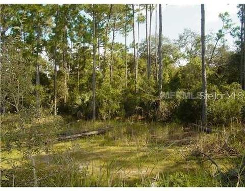 124 Palm Dr, Georgetown, FL 32139 photo 1