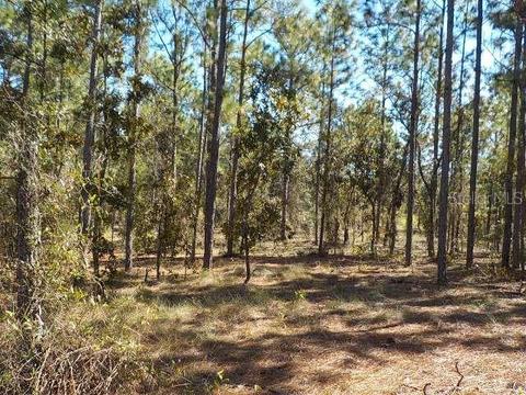Tbd SW Viburnum Street, Dunnellon, FL 34431