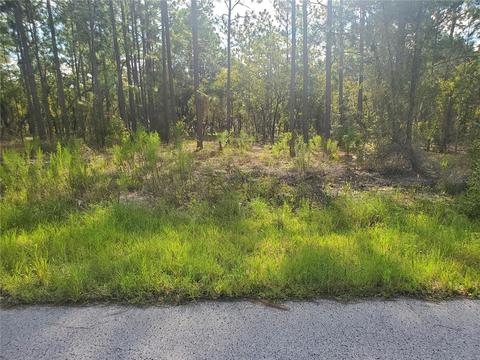 Lot 25 Sw Wisteria Ct, Dunnellon, FL 34431