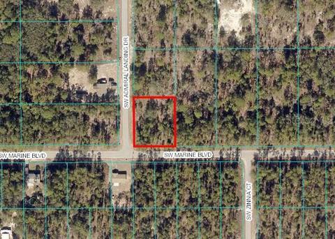 Lot 14 SW Admiral Landing Drive, Dunnellon, FL 34431