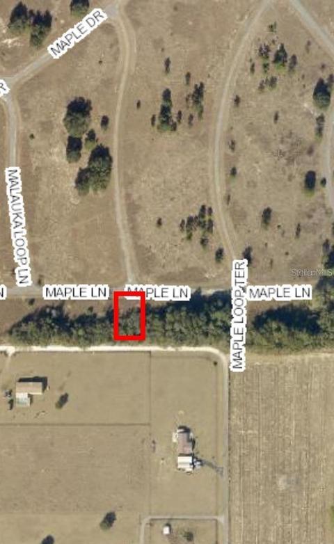 4 Maple Lane, Ocklawaha, FL 32179