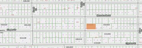 Smith St And Flagler Dr Corner, Interlachen, FL 32148