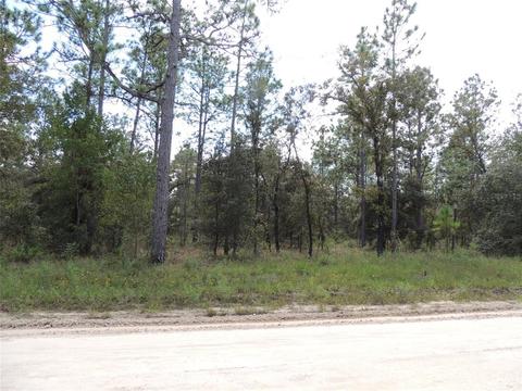 13950 NE 4th St, Williston, FL 32696 photo 1