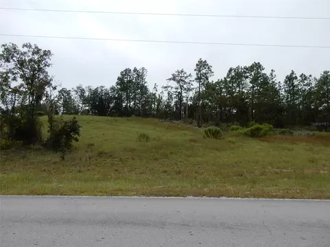 14950 E Levy St, Williston, FL 32696