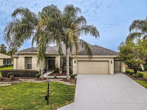 8873 SE 132nd Loop, Summerfield, FL 34491 photo 1