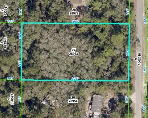 7043 Juniper Ave, Webster, FL 33597 photo 1