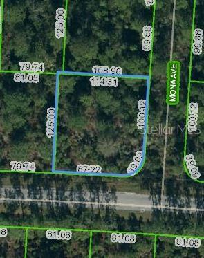 7001 Mona Ave, Sebring, FL 33872 photo 1