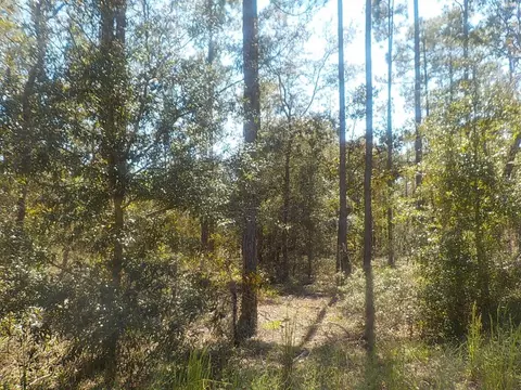 Tbd SW Barnacle Drive, Dunnellon, FL 34431