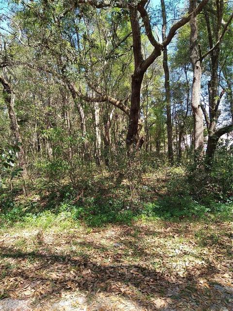 114 Th Ln, Dunnellon, FL 34432