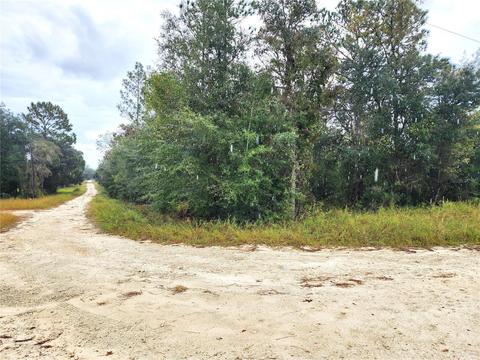 Lot 1, Williston, FL 32696