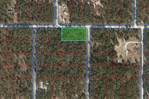 14590 SE 8th St, Williston, FL 32696