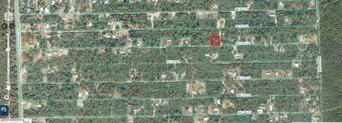 00 SE 236 Ln, Fort Mc Coy, FL 32134