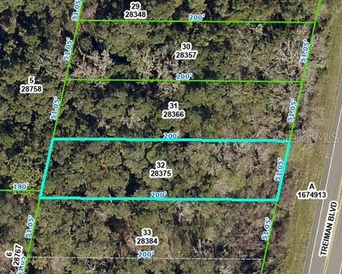 6379 Treiman Blvd, Webster, FL 33597
